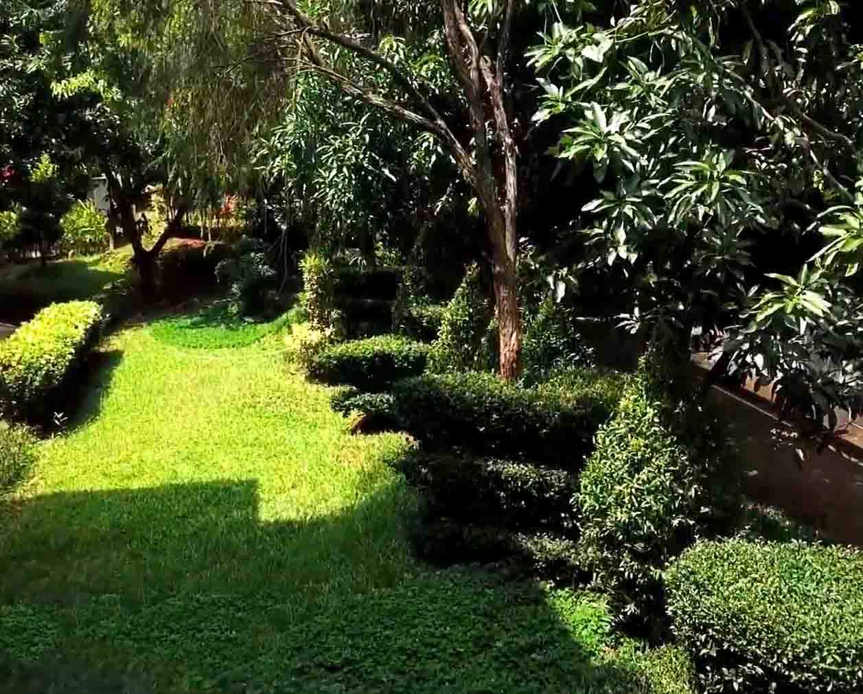 taman